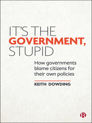 cover image of It's the Government, Stupid